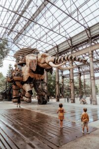 Un jour à Nantes : Machines de l’île, château et escapade urbaine — Daytour France